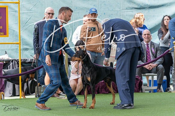 20230509-DSC01182