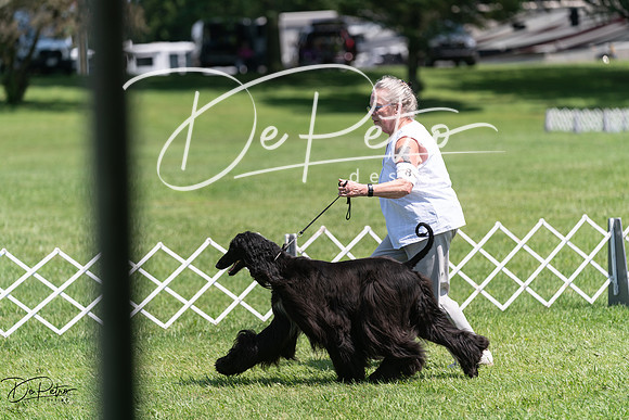 20240630-DSC01808