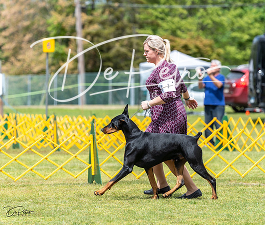 20230513-DSC08197