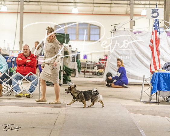 20230401-DSC08064