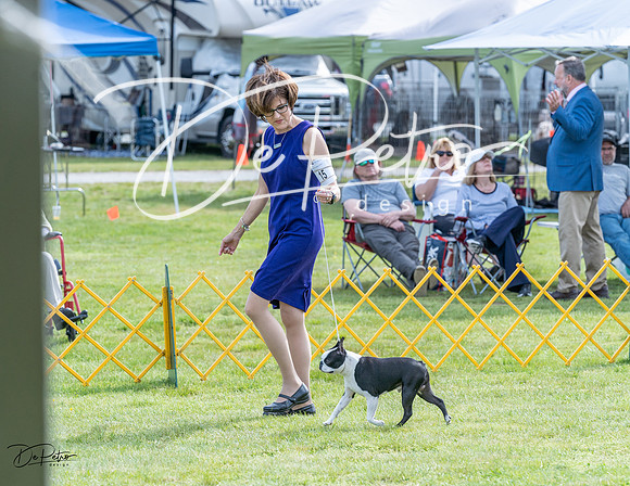 20230513-DSC00410