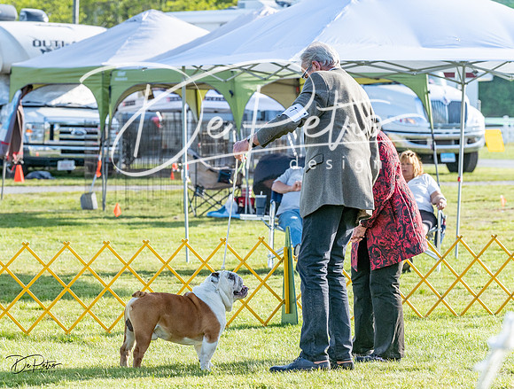 20230513-DSC02527