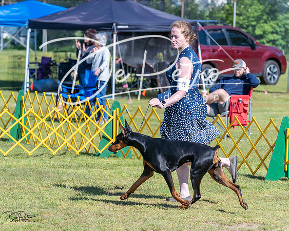 20230514-DSC02844