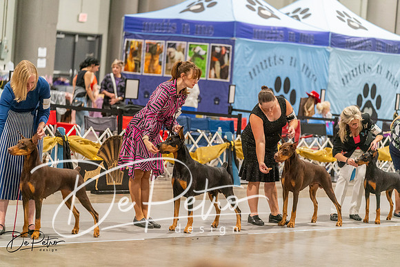 20260926-DSC04875