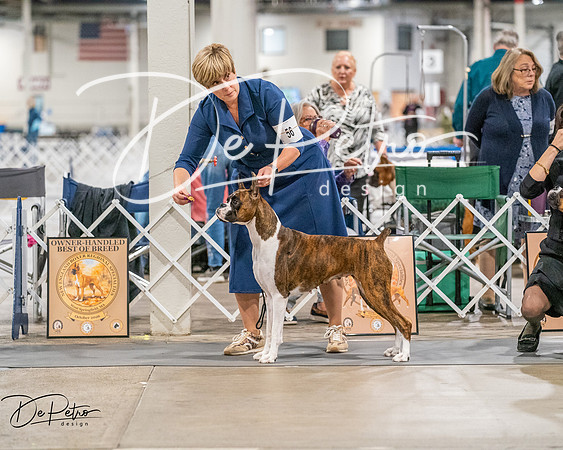20261022-DSC01866