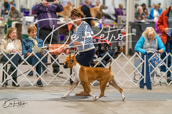 20261023-DSC05068