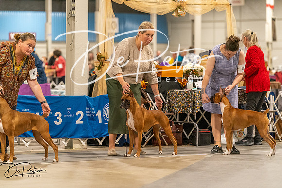 20261023-DSC05250