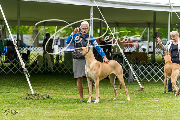 20230427-DSC02918