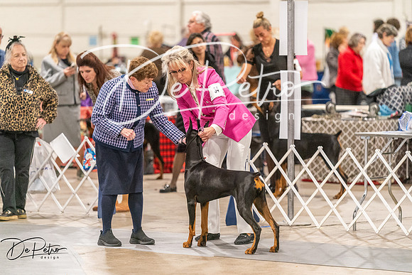 20261024-DSC00670
