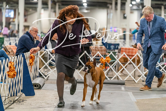 20261023-DSC05264