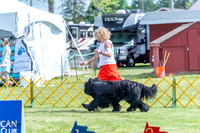 20230512-DSC05332