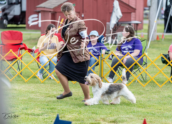 20230512-DSC03790