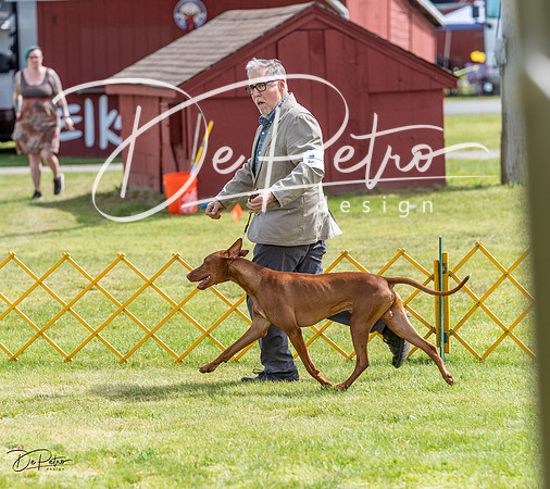 20230513-DSC09855