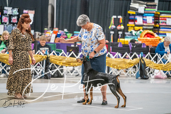 20260926-DSC04590