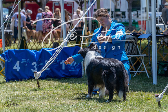 20230514-DSC04941