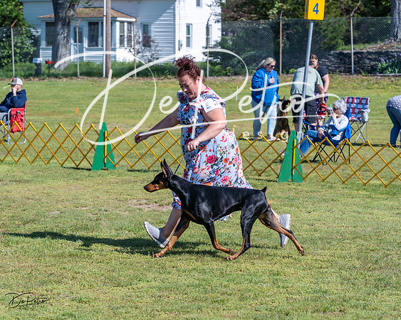 20230514-DSC02674