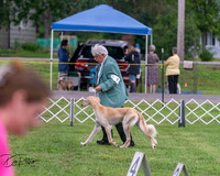 Hound 6/26