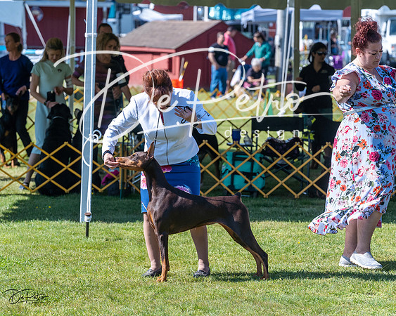 20230514-DSC02787