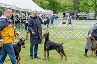 20230428-DSC07734