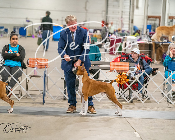 20261022-DSC02097