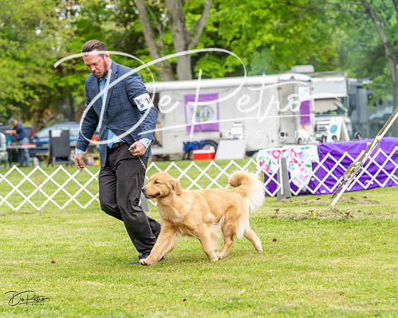 20230427-DSC03764