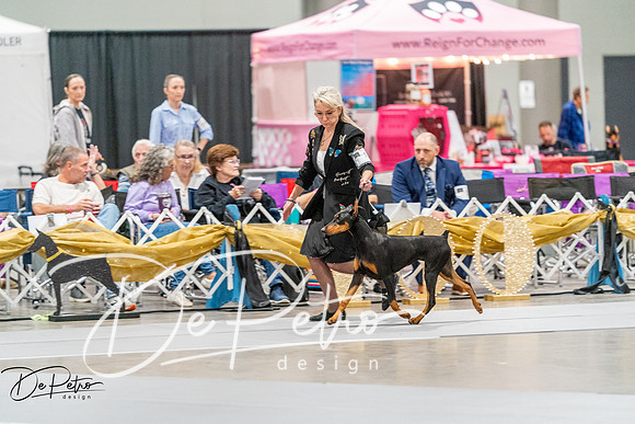 20260930-DSC06887