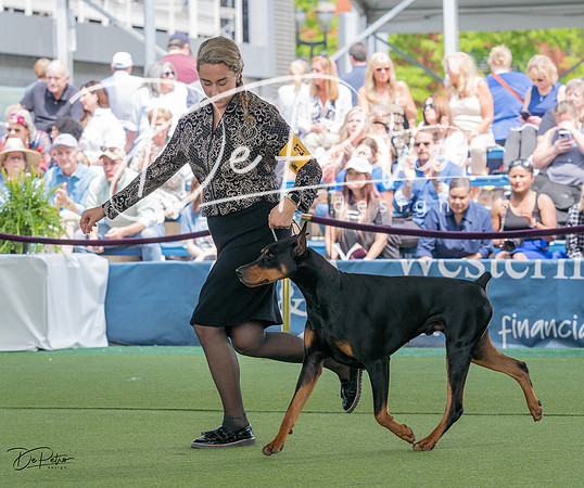 20230509-DSC01164