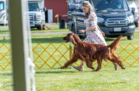 20230512-DSC07063