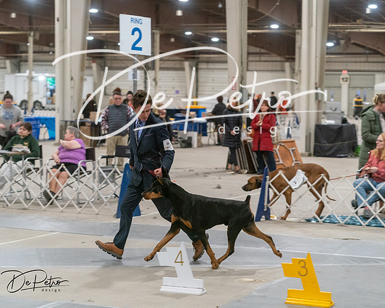 20250302-DSC07630