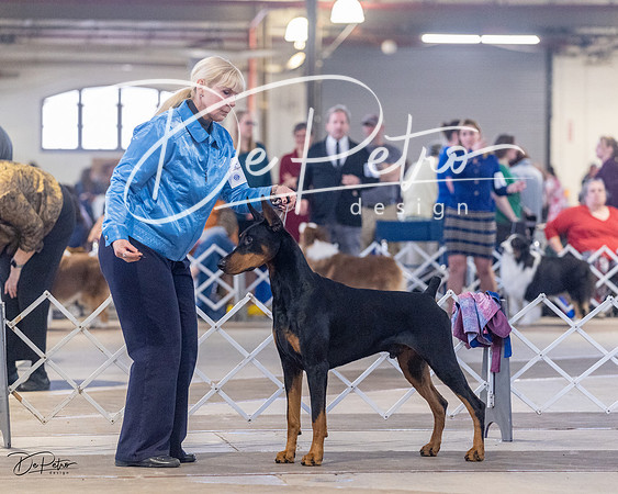 20230401-DSC06495