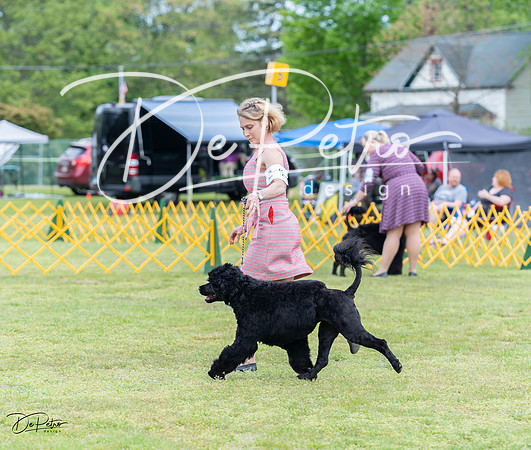 20230513-DSC07962