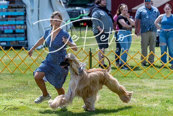 20230513-DSC09143