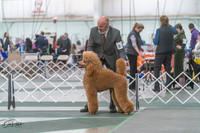 20250315-DSC08125