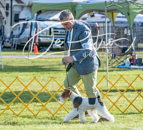 20230513-DSC02558