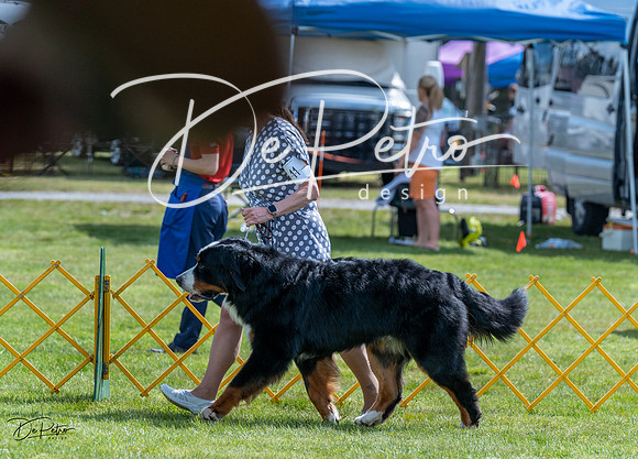 20230512-DSC05274