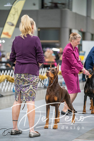 20260926-DSC04509