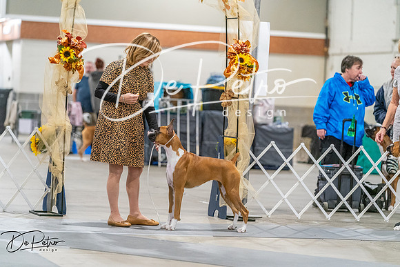 20261022-DSC00127