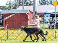 20230513-DSC09348