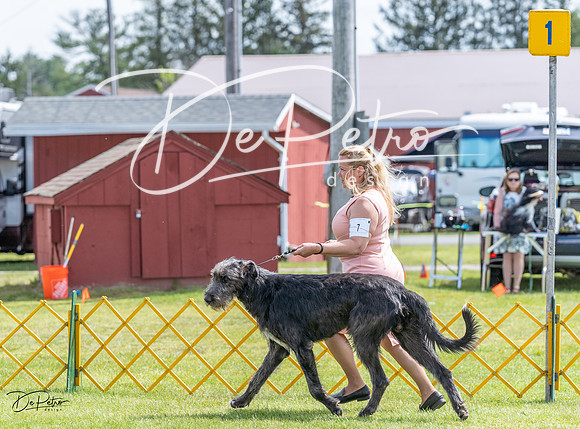 20230513-DSC09348