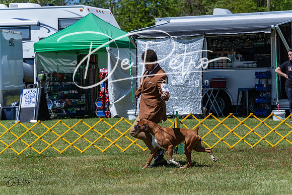20230514-DSC04092