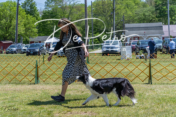 20230514-DSC05051