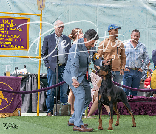 20230509-DSC01341