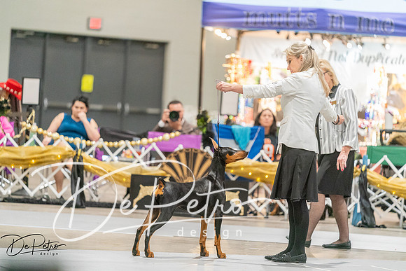 20260927-DSC05249