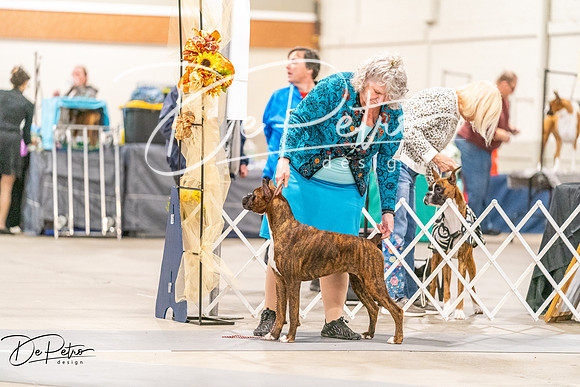 20261022-DSC00183