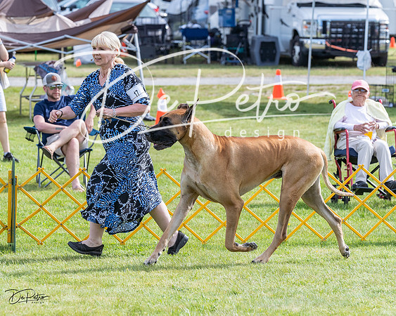 20230513-DSC00759