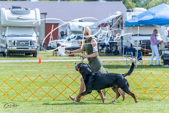 20230512-DSC05043