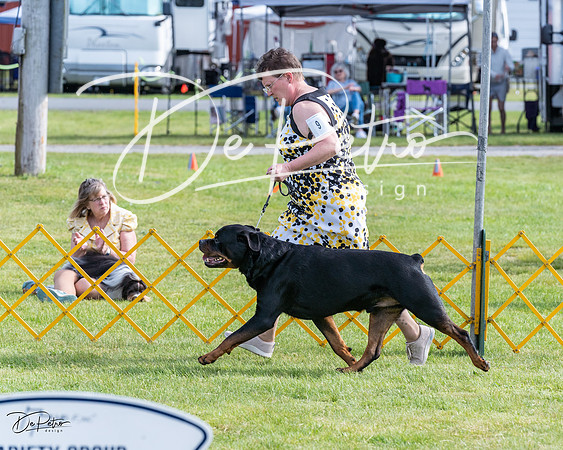 20230513-DSC01099