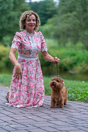 20260912-DSC03311