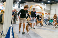 20261022-DSC00070