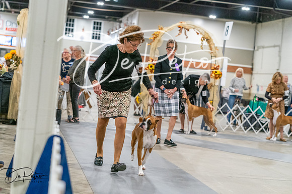 20261022-DSC00070